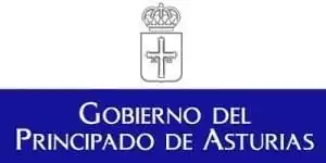 ESTUDIO-OBRA-MEMORIA-TECNICA-LICITACION-ASTURIAS-300×150 ESTUDIO OBRA MEMORIA TECNICA LICITACION ASTURIAS 300x150 1