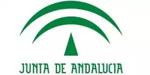 ESTUDIO-OBRA-MEMORIA-TECNICA-LICITACION-JUNTA-ANDALUCIA-300×150 ESTUDIO OBRA MEMORIA TECNICA LICITACION JUNTA ANDALUCIA 300x150 1