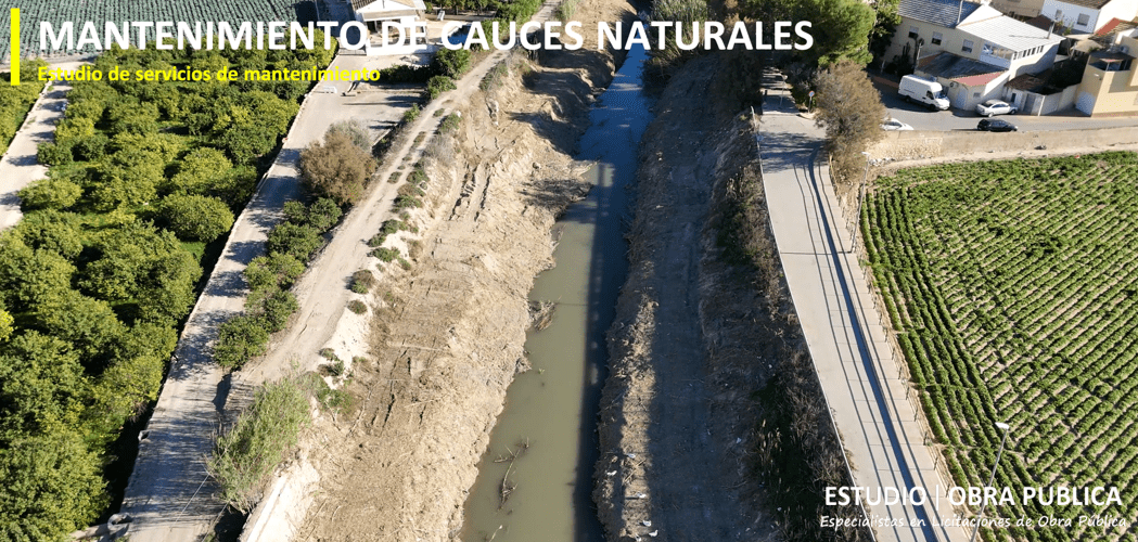 preparar memorias tecnicas para licitaciones de servicios mantenimiento cauces naturales